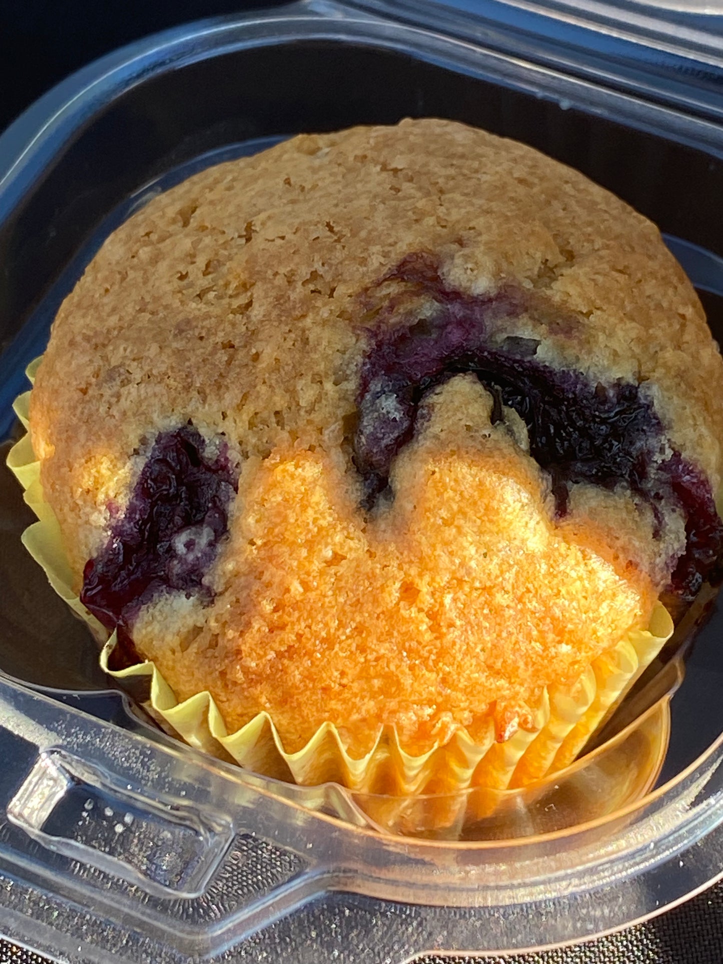 Lemon Blueberry Muffins