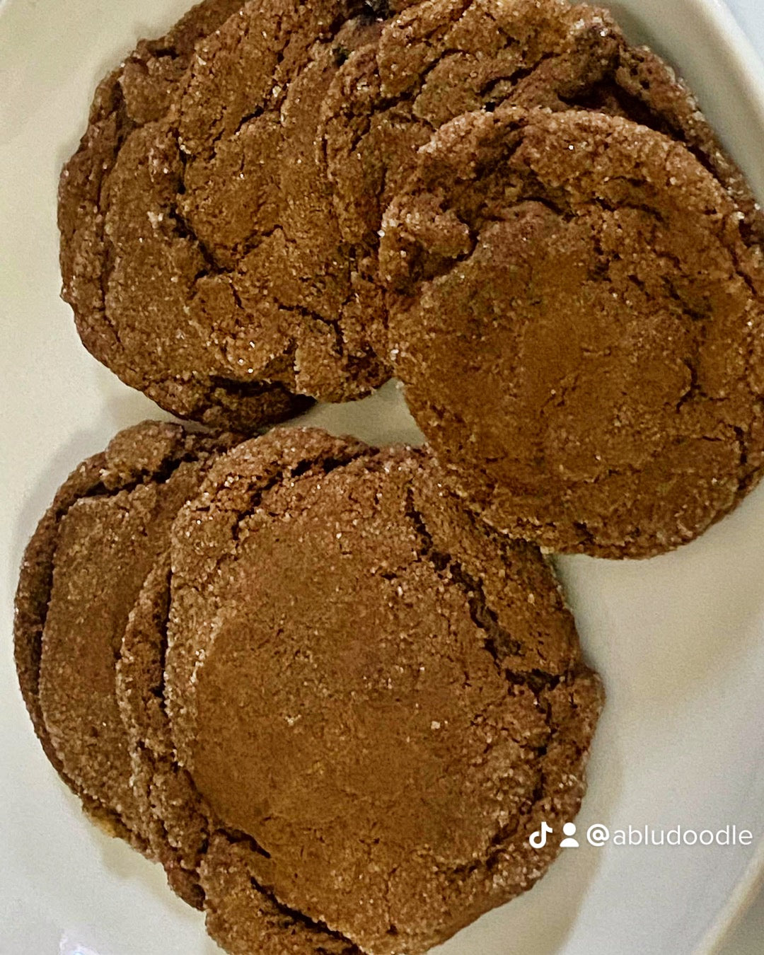 Chocolate Sugar Cookie